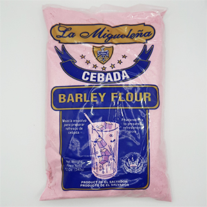MIGUELENA CEBADA